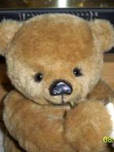Click for Teddy Bear Details