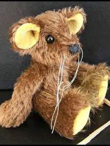 Hazel a little Mousebear