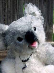 Click for Teddy Bear Details