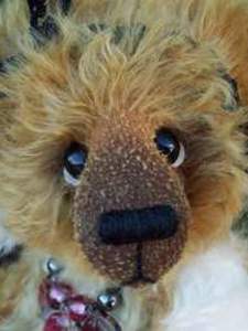 Click for Teddy Bear Details
