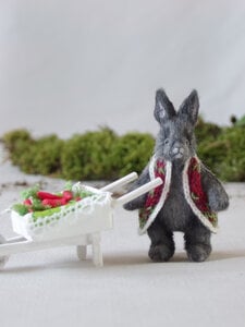 Miniature rabbit Enzo