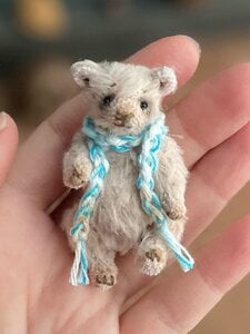 A little bear with a scarf
