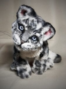 Snow leopard cub Irma