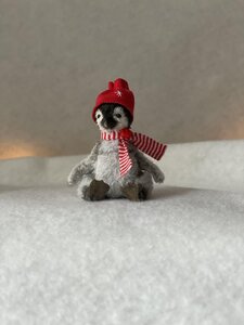 Miniature penguin Quickie