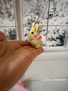 miniature rabbit
