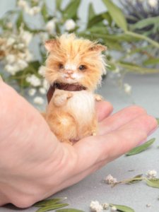 miniature cat