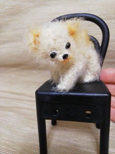Miniature dog