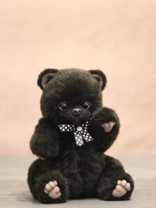 Teddy Bear Brian
