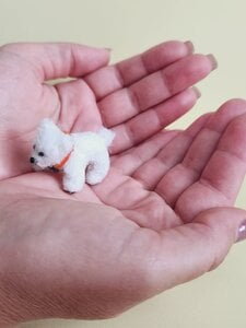 Miniature Puppy Bolognese
