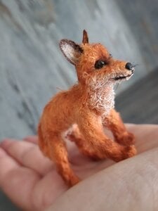 Miniature Fox