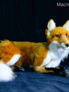 Fox Ignifer