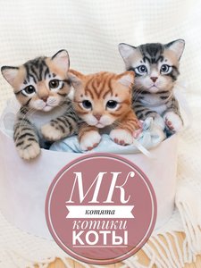 Онлайн курс Котята, котики, коты 2